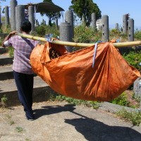 Tak Ada Warga Beternak Babi